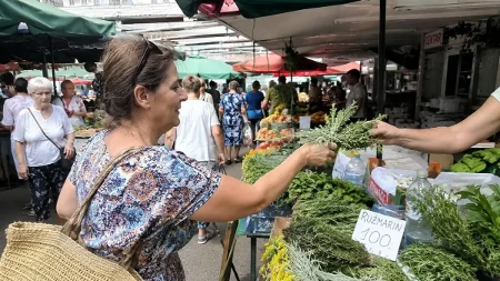Luka živi kao car od sadnje ove biljke: Dostavlja je na kućni prag kupaca