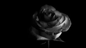 Umrla influenserka u 33. godini! Suprug objavio tužne vesti slomljen od bola, prijatelji se opraštaju