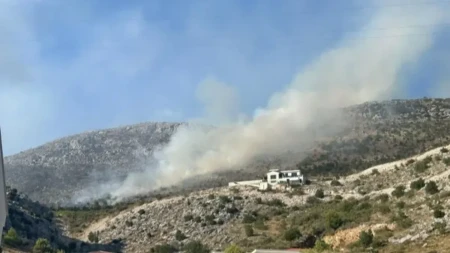 Više požara širom Srbije, ruski avion stigao u pomoć!