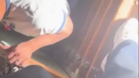 Renovirali kuću, pa ispod poda otkrili jezivu tajnu: Kad su videli šta je u mraku, umalo se srušili od šoka