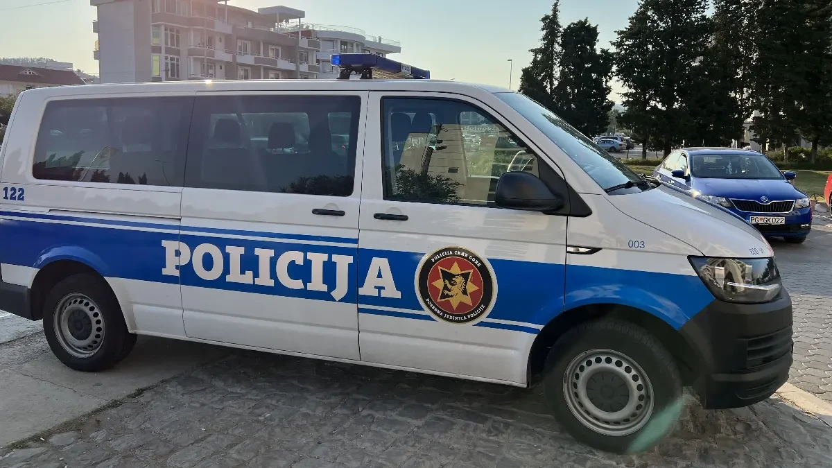 Šok obrt u Osnovnom sudu u Nikšiću: Uroš Ninković oslobođen optužbi za planiranje ubistva!