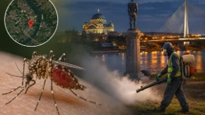 Virus Zapadnog Nila širi se Evropom: Više od 10 zemalja prijavilo slučajeve zaraze