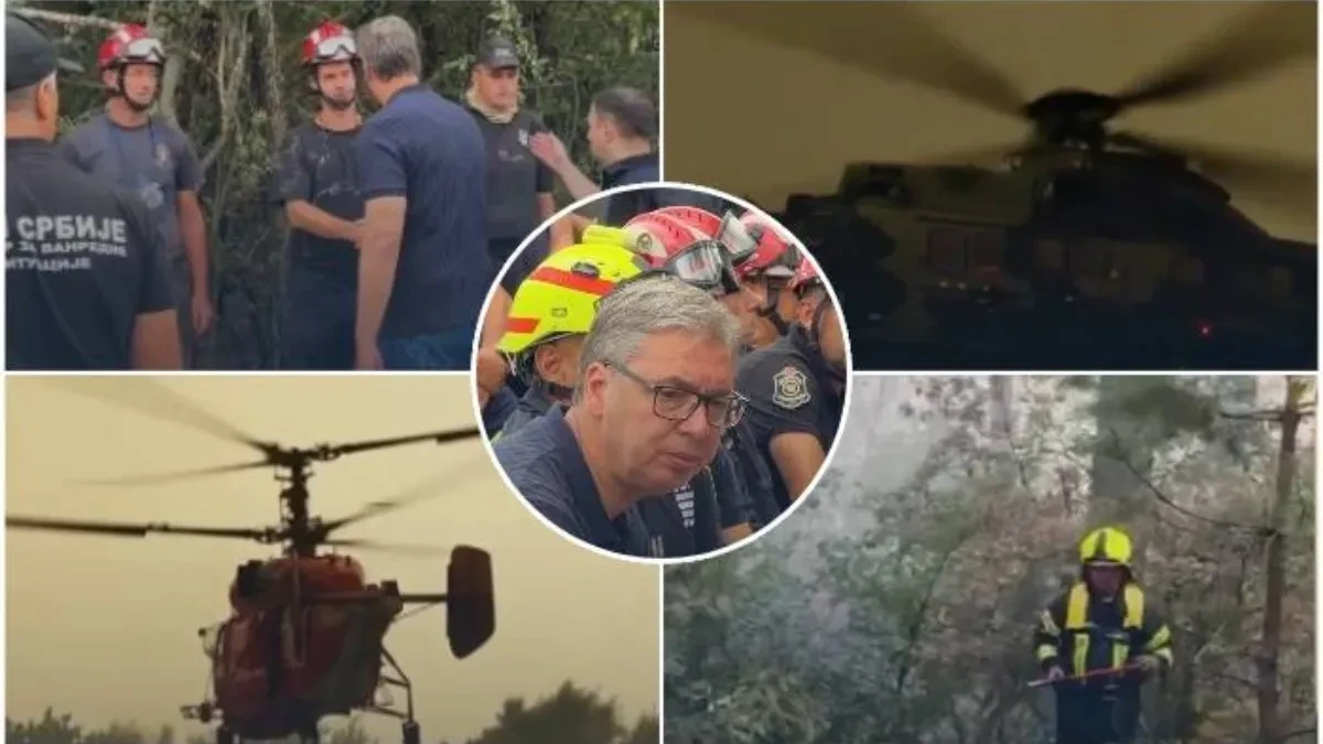 Kapa dole našim junacima! Vučić: Najvažnije je da ljudskih žrtava nije bilo, važniji nam je život bilo koga nego rastinje
