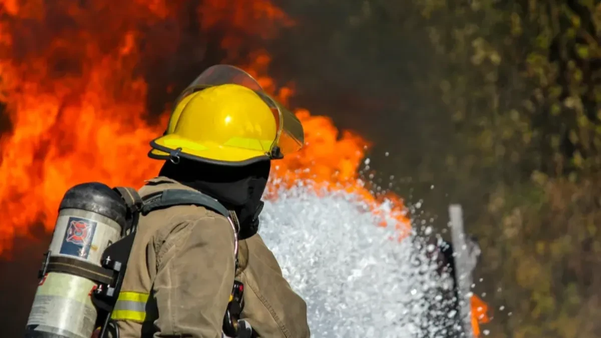 Srbija nije sama u borbi sa vatrenom stihijom! Stiže pomoć još jednog suseda, MUP odmah prihvatio ponudu