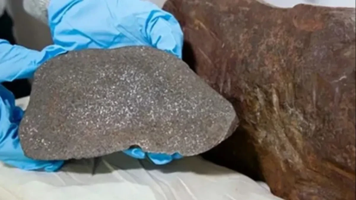 Godinama čuvao kamen težak 17 kilograma misleći da je zlato: Onda je usledilo neverovatno otkriće