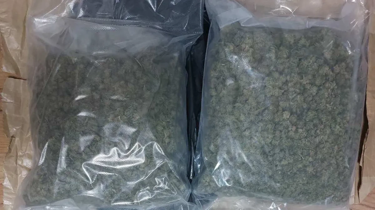 Pao diler sa više od 2,2 kilograma marihuane! Drogu krio u stanu na Voždovcu