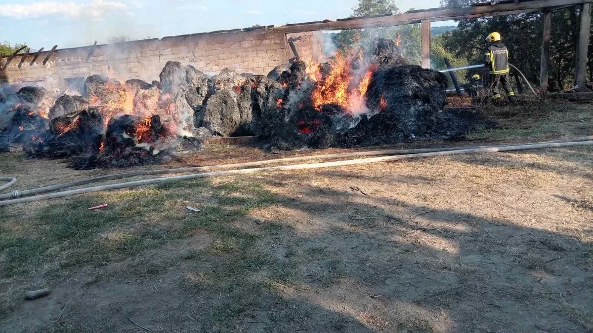 Za 10 minuta vatra progutala štalu i svu letinu porodice Dakić! Tri unuka ostala bez svega što su stvarala celog leta