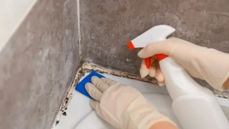 Zaboravite na skupe preparate: Buđ u kupatilu se efikasno uklanja uz pomoć ovih prirodnih sastojaka