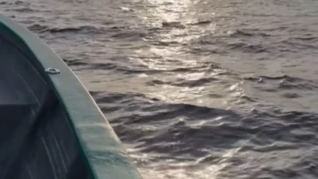 Drama na otvorenom moru: Ribari su ugledali iscrpljenog psa u vodi, 2 kilometra od obale - trljali su oči u neverici