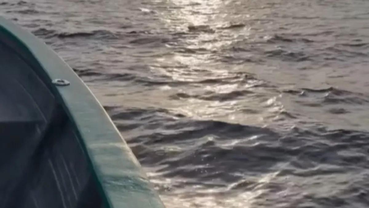Drama na otvorenom moru: Ribari su ugledali iscrpljenog psa u vodi, 2 kilometra od obale - trljali su oči u neverici