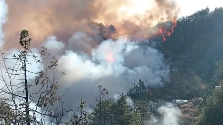 Lokalizovan veliki požar u Kaoni: Izgorelo više od 120 hektara, šuma nije zahvaćena 