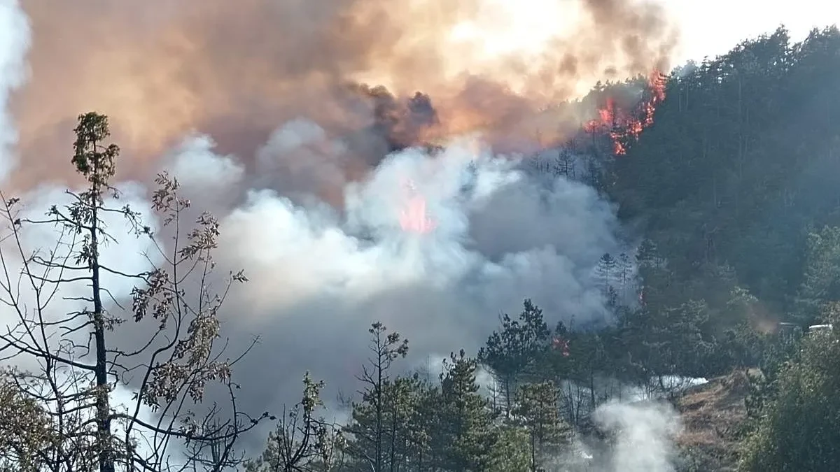 Lokalizovan veliki požar u Kaoni: Izgorelo više od 120 hektara, šuma nije zahvaćena 