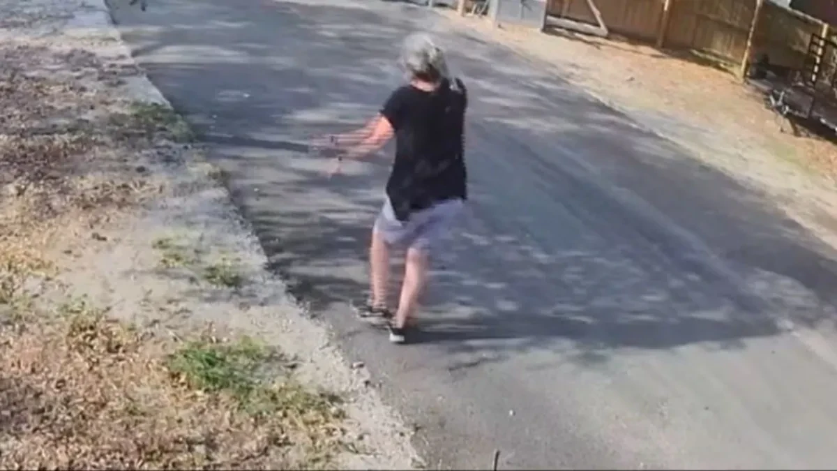 Više od 300 puta su je ubole: Žena bežala od roja pčela ubica i vrištala, a onda je policajac zgrabio crevo