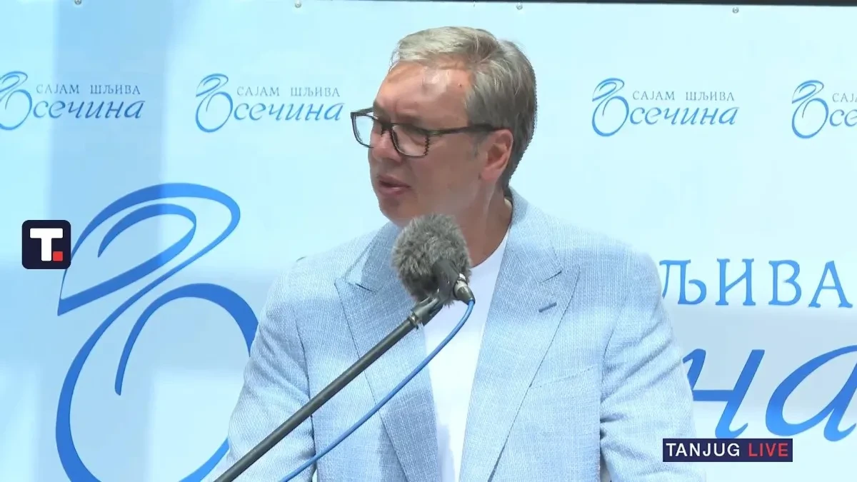 "Žele Srbiju na kolenima, ali to neće dočekati" Vučić: Kretena i emocionalnih bolesnika ima uvek i svuda
