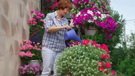 Moje cveće buja kao ludo i na vrućini! Sama pravim đubrivo od 2 sastojka, evo recepta