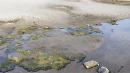 Tu je nekada bio plovni put, sada je barica! Strašni kadrovi snimljeni u Apatinu