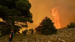 Hitno upozorenje vatrogasaca: Srbiji preti talas požara! Jedna greška može izazvati katastrofu