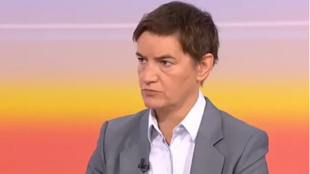 Brnabić rasturila ANEM: "Upišite se u stranke, štitite divljake koji bi da ubijaju novinare!"