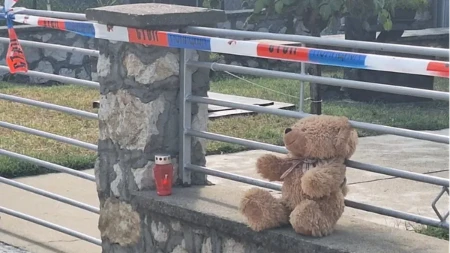 "Čim je otac umro počele su svađe oko nasledstva": Poznati detalji koji su prethodili zločinu u Velikom Gradištu