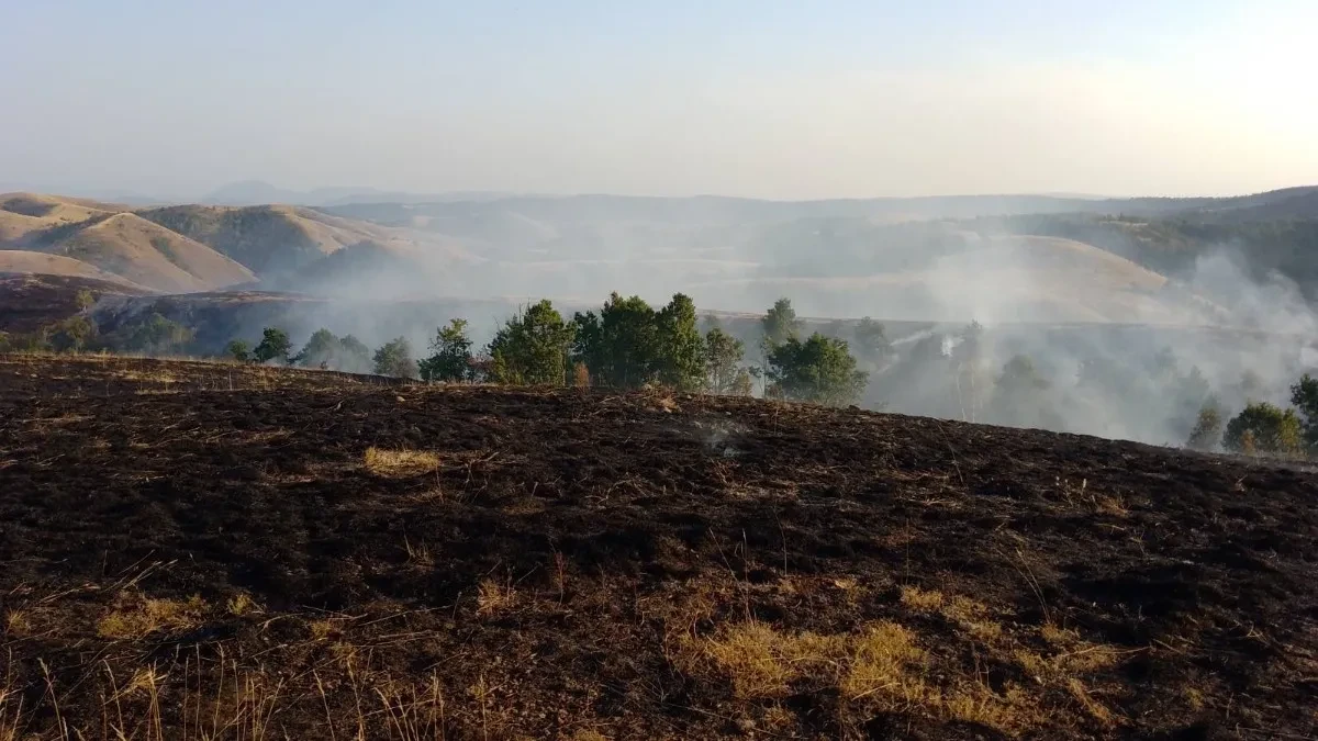 Gledajte šta radi moćni ruski Iljušin na Ravnoj gori: Jedan nalet je bio dovoljan (FOTO)