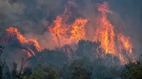 Bilans požara u Evropi - skoro pola miliona hektara zemljišta, šteta preko tri milijarde evra 