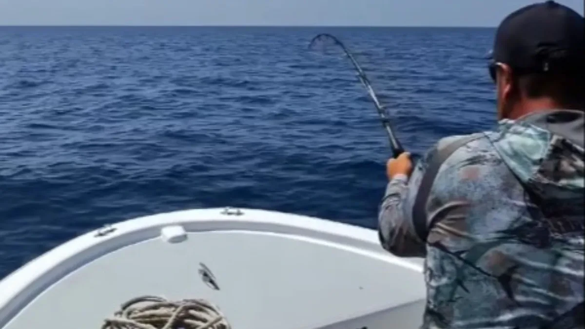 Iz dubine je izašlo čudovište od 230 kilograma: Trojica braće jedva savladala morskog gorostasa!
