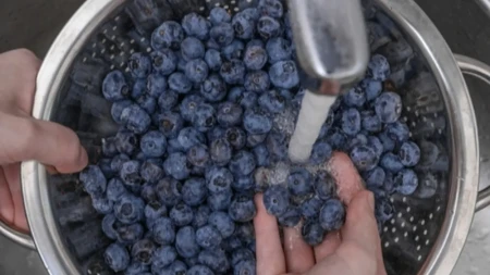 Priča se da su zdrave, a ustvari... Ovako vaše telo reaguje kada pojedete previše borovnica, nećete verovati!