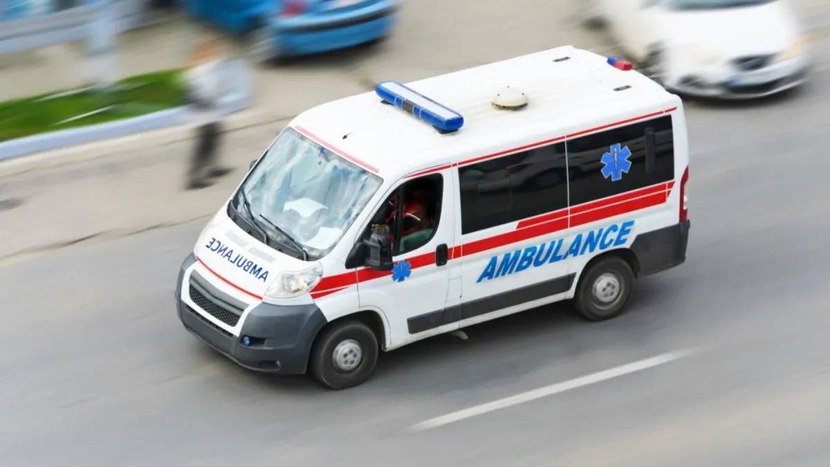 Užas u Leskovcu: Drvo palo na radnicu marketa, hitno prevezena u Urgentni