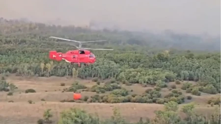 Uključena i Vojska! Proglašena vanredna situacija, nastavlja se drama u Deliblatskoj peščari