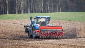 Agroekonomista otkriva šta čeka srpske ratare - "Kiša je sada važnija od svega"