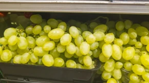 Zbog ovog poteza će propasti za 2 dana: Ovako se ne sme prati grožđe, a mnogi prave istu grešku