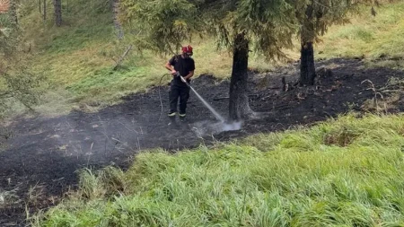 Deka (89) zapalio gnezdo stršljenova, pa izazvao veliki požar: Izgorele kuće, šuma i voćnjaci