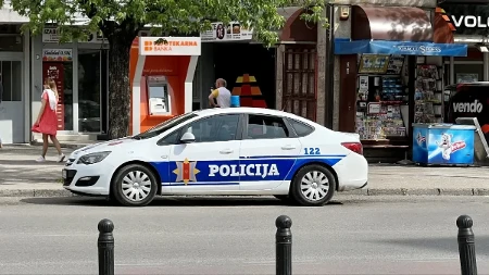 Cetinjanin tukao svog psa, pa uhapšen: Brza reakcija policije nakon prijave, sve se videlo na snimku
