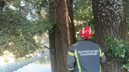 Požar izbio na Kalemegdanu: Gori na Donjem Kalemegdanu, vatrogasci gase vatru