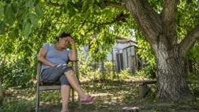 Ispod ovog drveta nikad nemojte sedeti: Posle pola sata ostajete bez snage i sa migrenom
