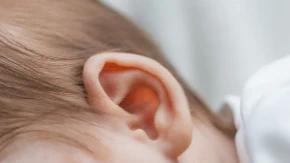 Da li se klempave uši nasleđuju? Šta genetika kaže o obliku ušiju