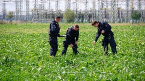 Alarm u Nemačkoj! Dva napada u jednom danu, odjekuju eksplozije, zemlja u pojačanoj pripravnosti!