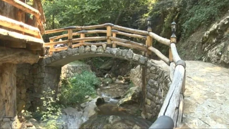 Za Rošku banju kraj Požege stariji kažu da je dar od Boga: Voda izvire u šumi, a ljudi se vraćaju decenijama