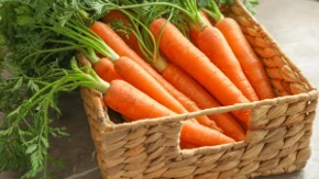 Šargarepa za bolje varenje – nutricionisti otkrivaju njen pravi uticaj