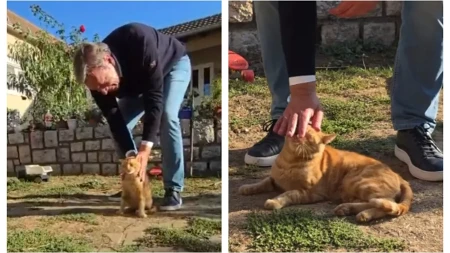 Vučić "Nisam mogao da nađem bolji razlog za osmeh..." (VIDEO)