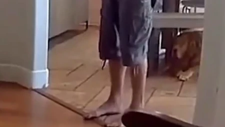 Lopov ušao da opljačka kuću, a dočekao ga prizor za nevericu: Pas mu tri puta prišao sa istom namerom!  