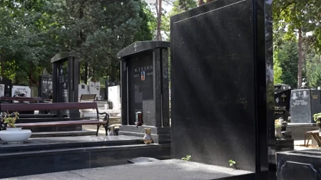 Ovde će Ratko Mladić počivati pored ćerke Ane! Alo! na mestu koje je izabrao za večni počinak