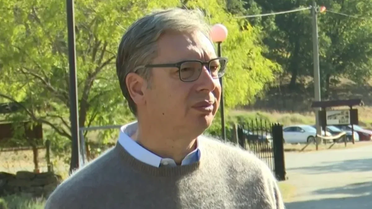 "Državu ne može da vodi onaj ko pesnicom udara ženu" Vučić poslao jasnu poruku (VIDEO)
