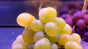 Slatko, sočno i zdravo - Da li je grožđe nepravedno dobilo etiketu „voća koje goji“?
