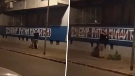 "Studentska" lista još jednom pokazala odnos prema generalu Mladiću: Uništili mural u Novom Sadu i pohvalili se snimkom (VIDEO)