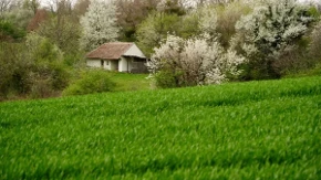 Vikendica zaključana godinama, a obaveze stižu - vlasnici često zaborave na jednu stvar, a dug se gomila