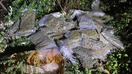 Pao Novosađanin (41): U stanu mu pronašli pola kilograma marihuane, tablete i opremu za pakovanje droge